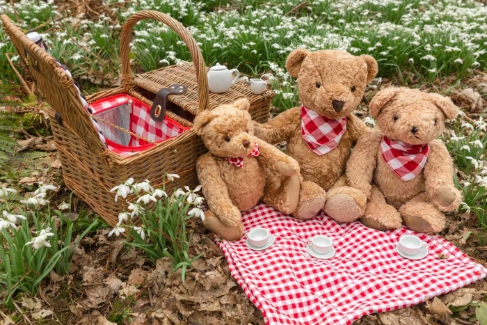 How To Organise the Best Teddy Bear Picnic Party for Your Toddler jpg