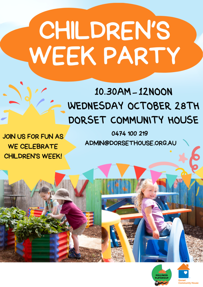 Playgroup Party Flyer 2026 3